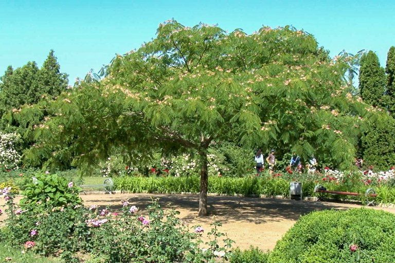 �� �������� ������� ����� � �� ������ ������� �� ������� ���� ������� ������, �� � ���������� ����������