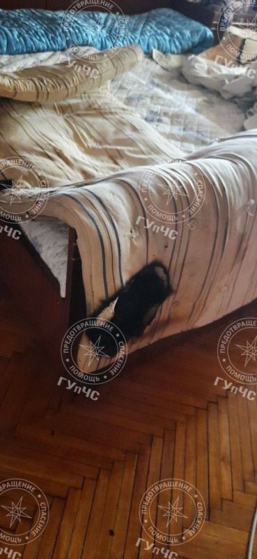 �������������� ���� �� ������� � ��������