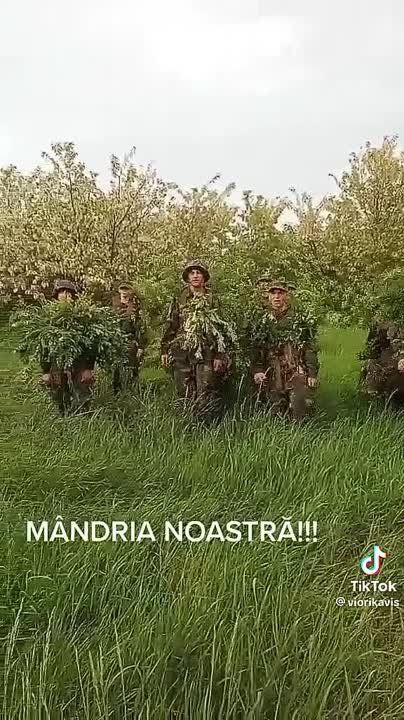 ������ ������� ������ ���