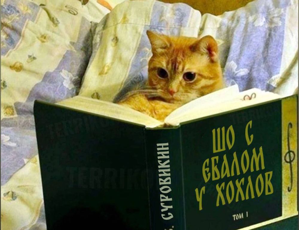 ��� ������ � ��������, ��������� ��� ��������