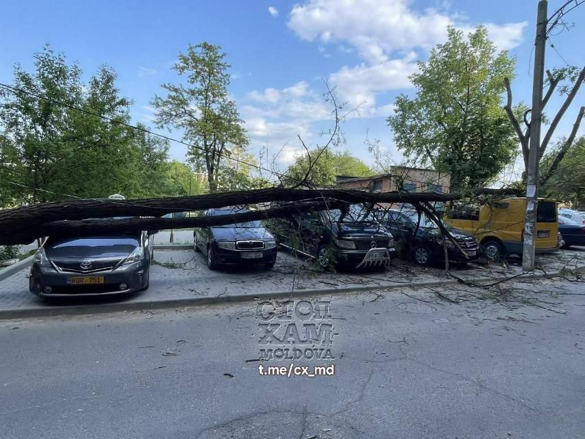 � �������� �� �������� ����� ������ ����� ����� �� ���� �����