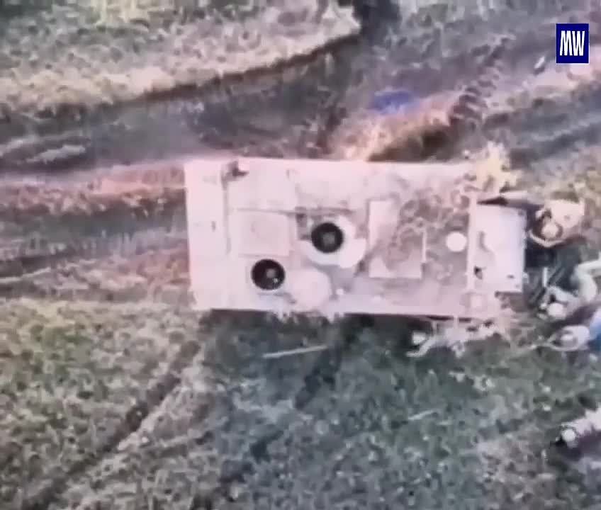 ����������� ���� � ����� ����� � ��� ������������� ���� �113 �� ������ ��������