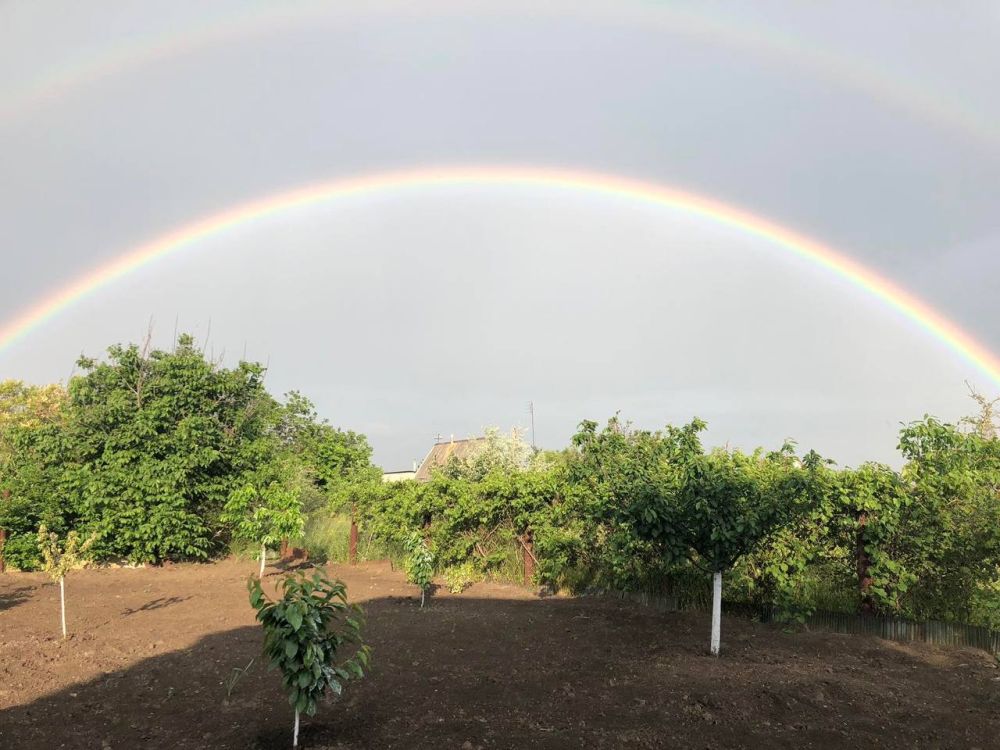 �������� ������ �� �����������