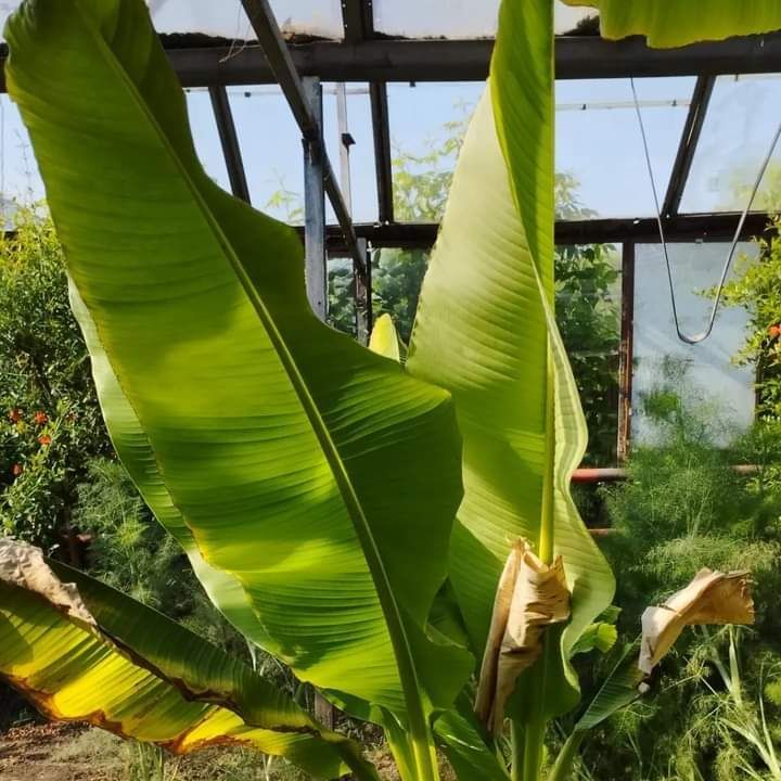 �� ���������� � ��������