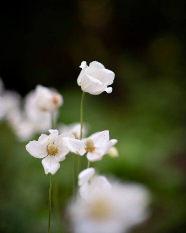 ������ ������� ��������� ������� � ��������� � ������� ��� ���������� �������������