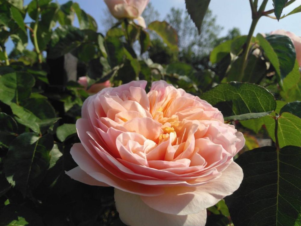 ������� �� ������ � 23 �� 26 ���