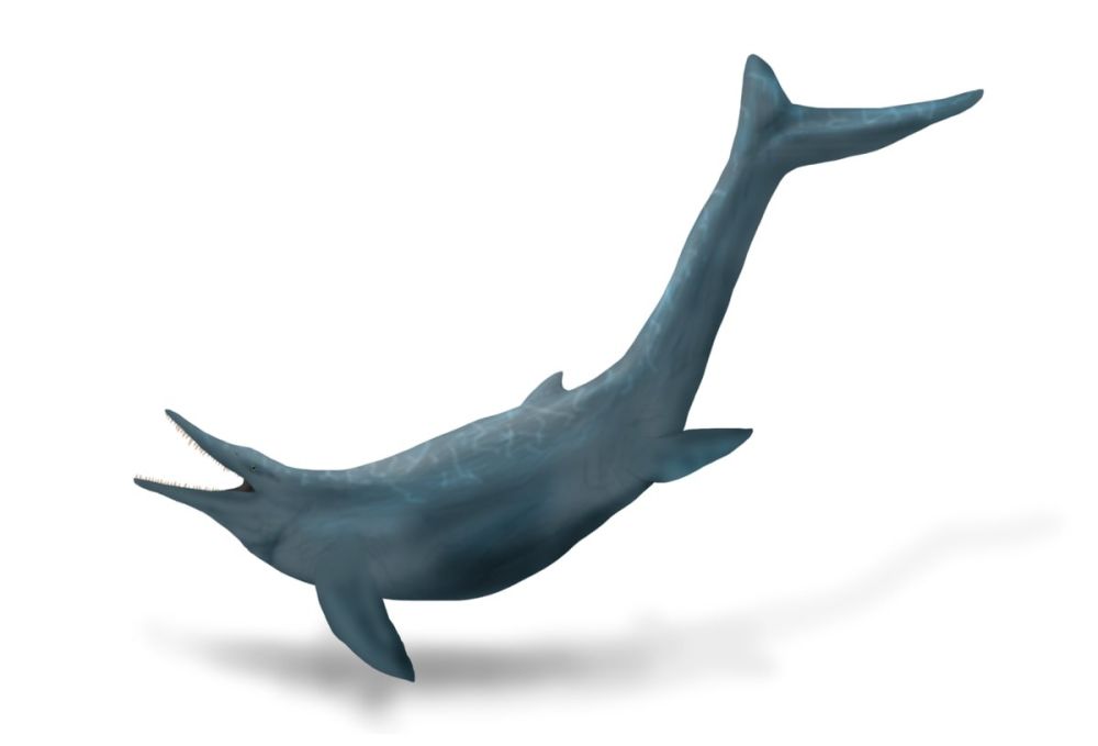 �� �������� ����� ������� �������������