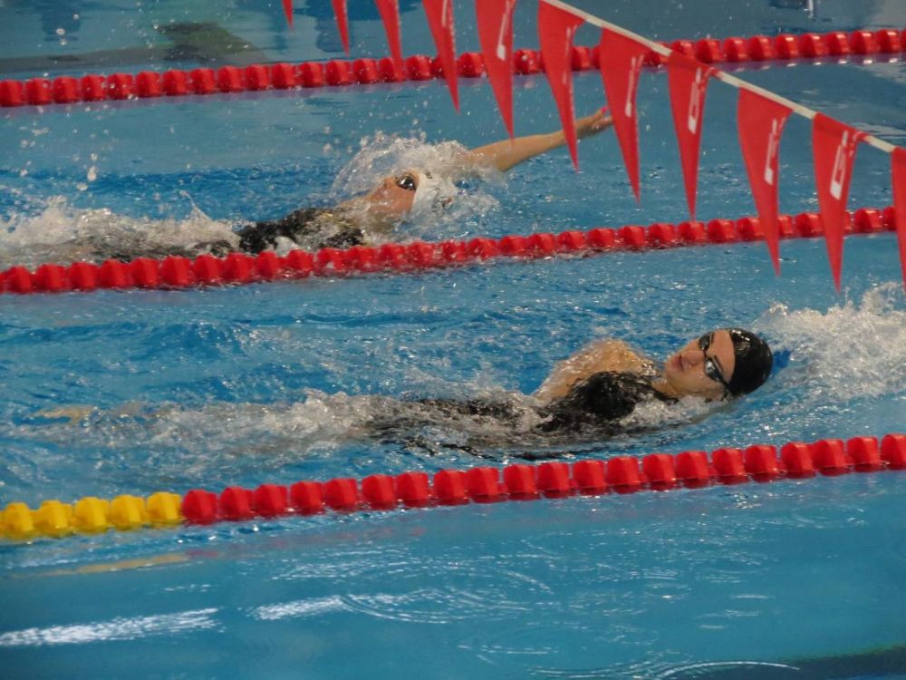 �������������� ������� �������� � � ����� ������ ����������� ������� �� �������� �Grand Prix�, ������� �������� � ��������