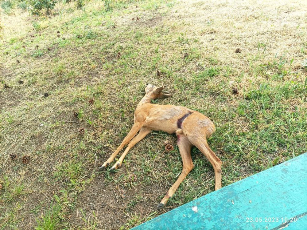 � �������� �� ��������� ����� ������