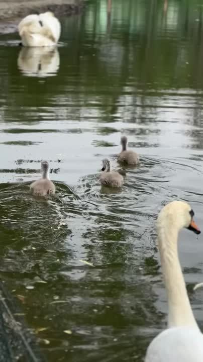 ���� ������ ���� ������� "������� � ������"