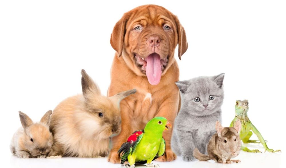 1 ���� � ������� ������ ������� "��� ������� �������"