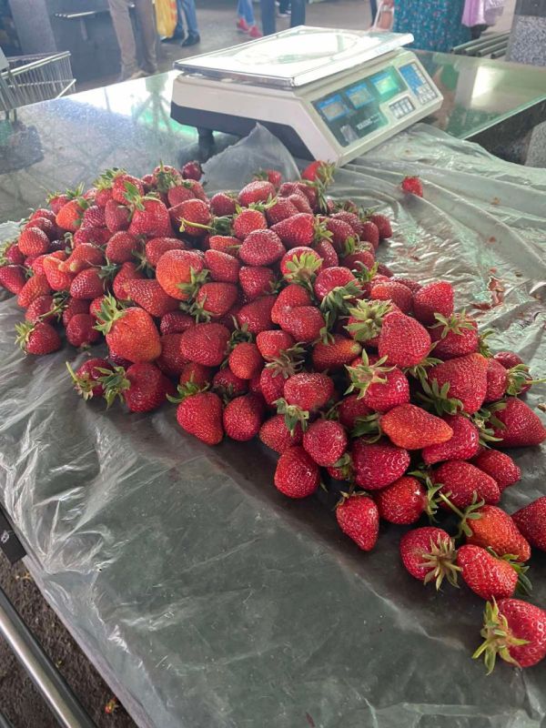 ��� ����� �������� ������� �� ����� �� 35 ������