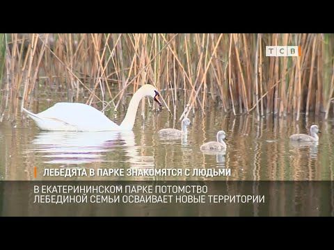 ��� ��������� ����� � ����� � �������������� �����. ��� ��������� ��������� �����, �� ������� ������ ���� �����, ��������� ����� ���������� � ���������� � ������