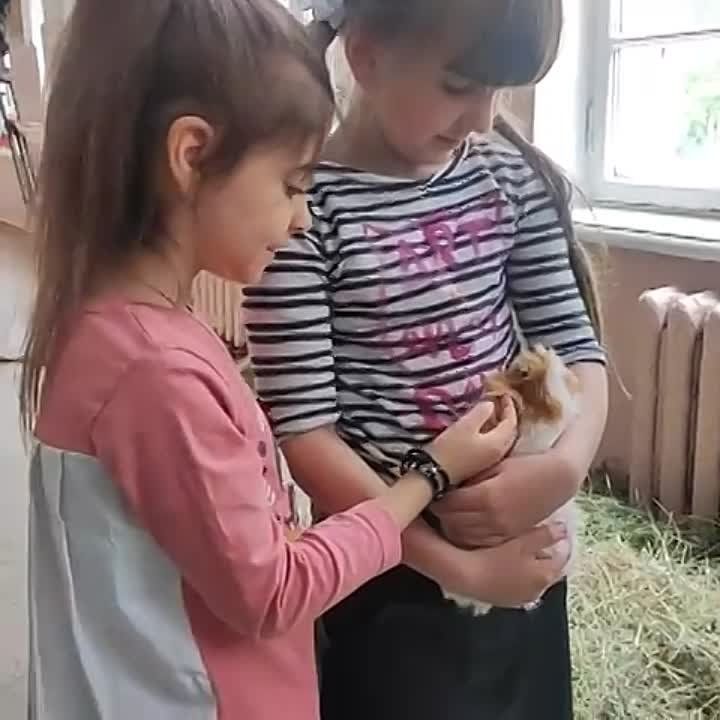 ���������� ������ �� ��������� � ������������� ����� ���������