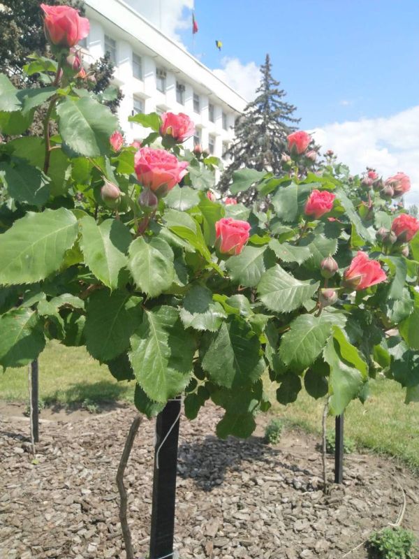 ��� ������ �������. � �������� ������������ ��������� ����. �� ��������� � ����!