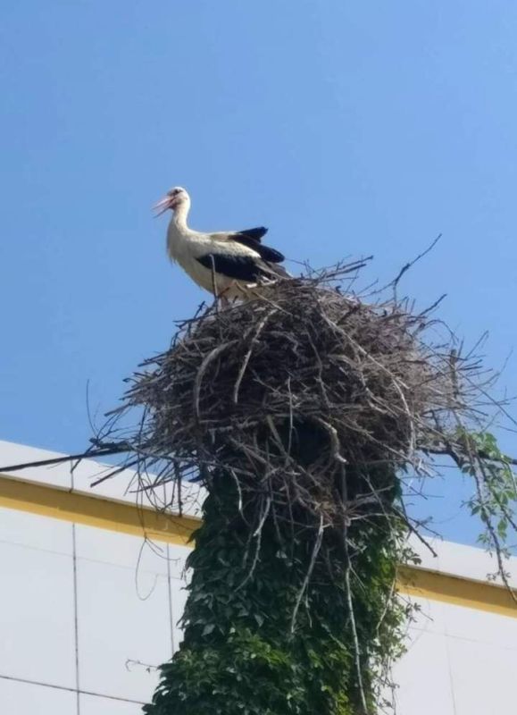 ����� � ���������� - ���� �����!