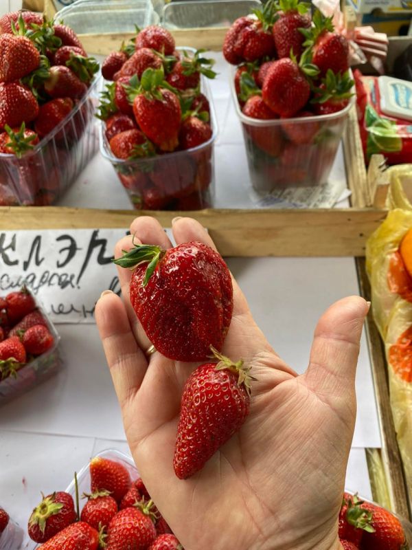 �� ������� ����� ����� ������ ��������� ��������