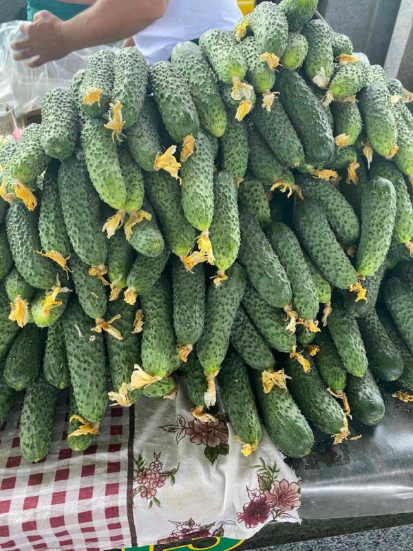 ������ ����������. ������� ���������� ������ �� 25 ������. ��� �� 35