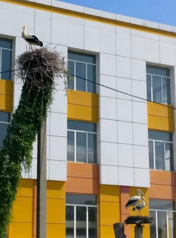 � ���������� ����� � �������� ������ ���������� ��������� �����