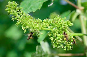 ���������� ��� ����������