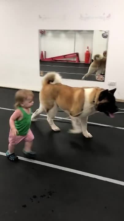 1 ���� � ������� �������� ������� ���� ������� ��������