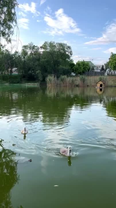 �������� ��� ������ �� ������ ��������� � �����