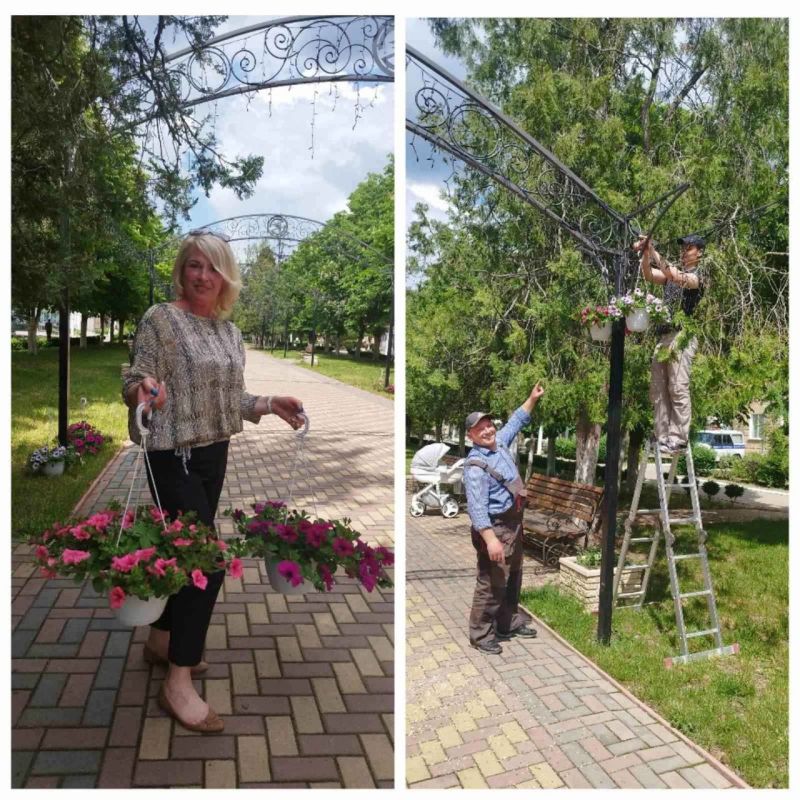 ������� ����������� � ����������� ������� �������� ���������