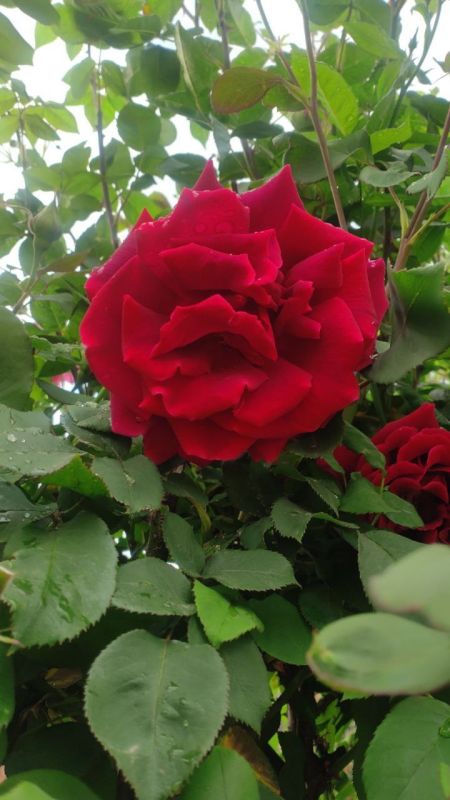 �������� ������, ����� ����� ���� ����������, ���� ������ ���� ���!