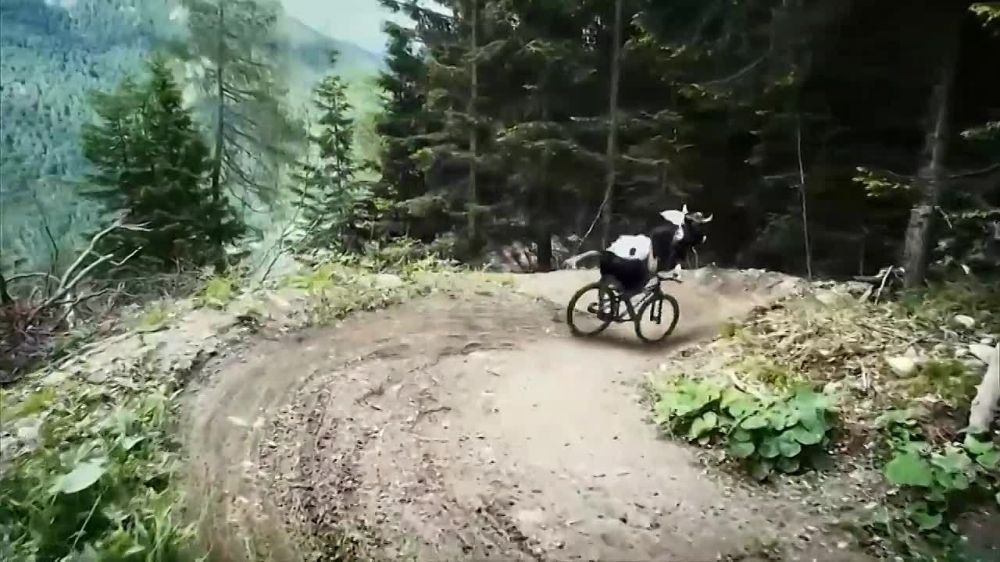 � ��������� ������� ����� �������� ����