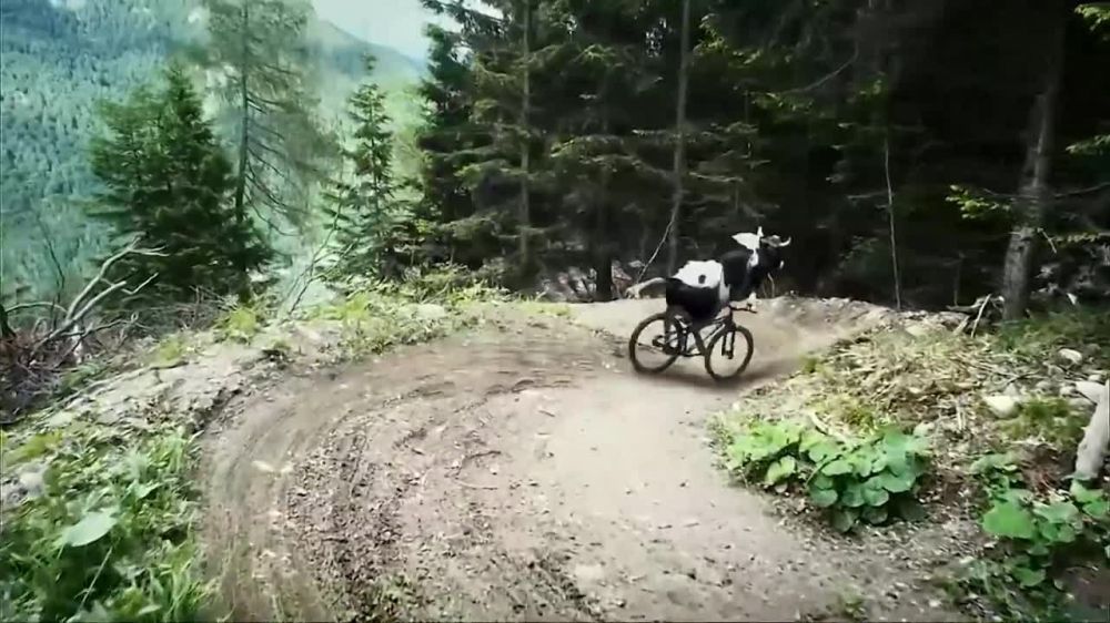 ������ ����� ��� ����� ��� ������� �����������!