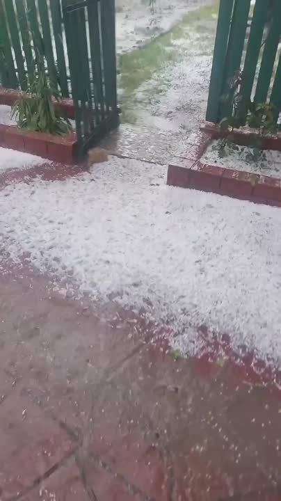 ����������� ���� � ������������ ������ �������