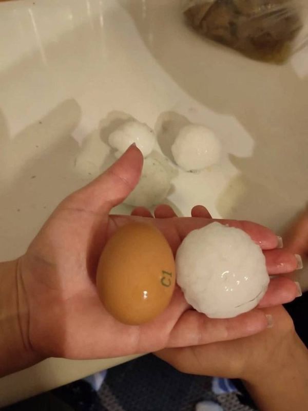 � ������������� ���� ����� ���� �������� � ����