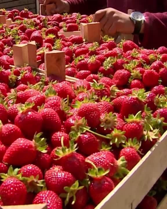 ���������� ��� ������. �� ������� ��������� �������� �������� ������������ ����� �����. �������� �� ���������, � ���������. ��� ����������, ��� �������� �� ��� ���� �������� �����. �� ������������ � ������ ����� � ����� ������