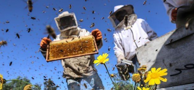 � ������������ ������ �������� ��������� ������������� � �� 27 ��� (� 6-00 �� 22-00):