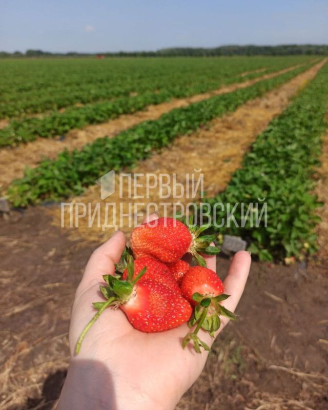 ���������� ��� � ����������