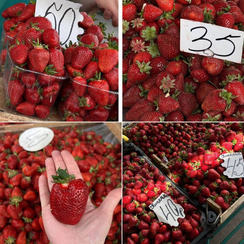 ����������� ���� �� ��������