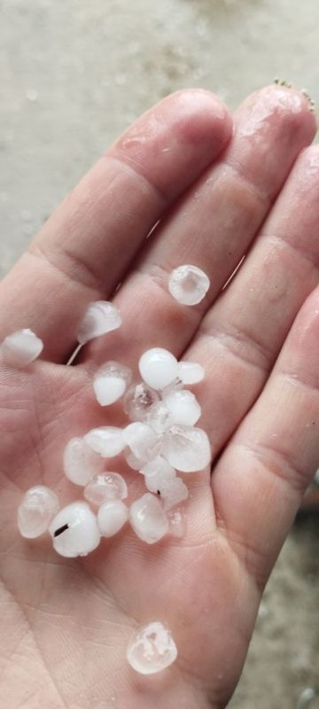 � ���������� ���� � ������ ���������