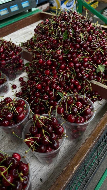 ���� �� ������� �� ������� ����� ���� �����