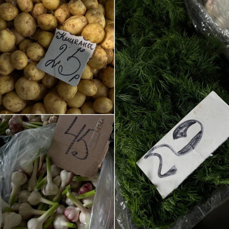 �������� �����: ������� ����������, ������� ������ � �����