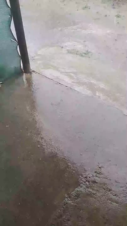 � ���������� �������� � ������