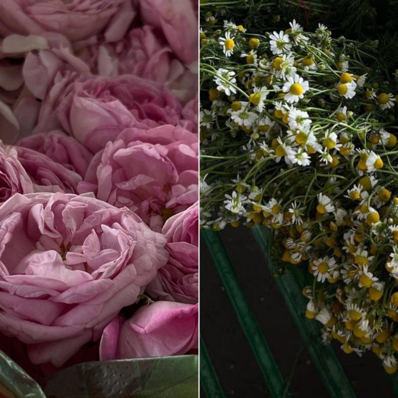 ���� �� ������� �� 10 ������ �� 100 �����