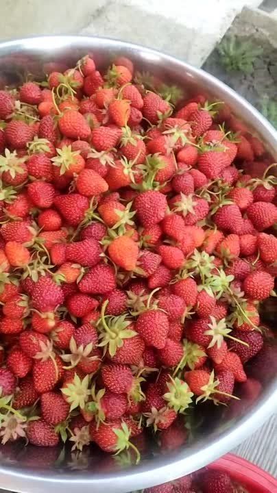 ��� ����� ��� ������!. ���� �������� �������, ��� ������� � ����������� ������