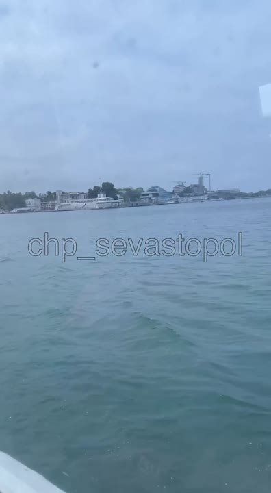 "���� ����" ����� � ��������������� �����