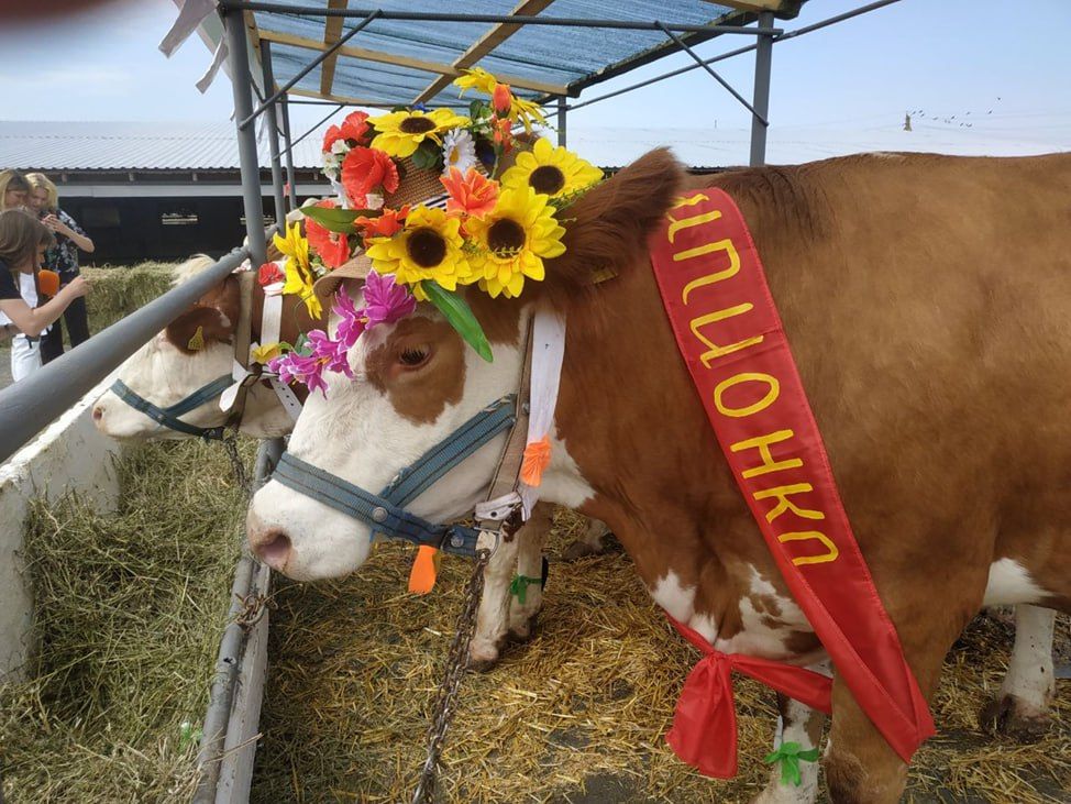 � ���� �������� ���������� ������ �� �������� �������-�������� ����� ������������������ ������ ������ ������ ������������ ������� ����� ����� �������������� ������, � ������� ������� ������� 10 �����, �������� ��������-����� �����������������