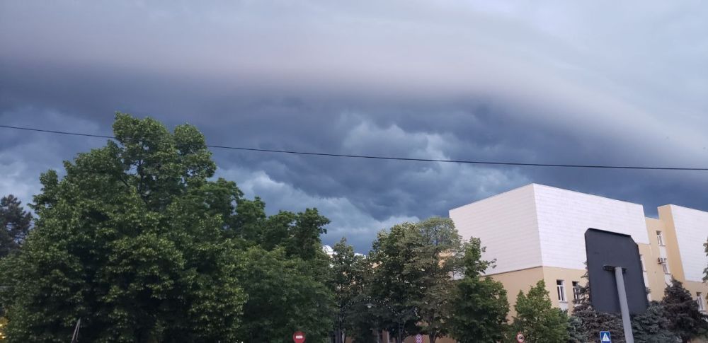 ���� ���� �������� ���������