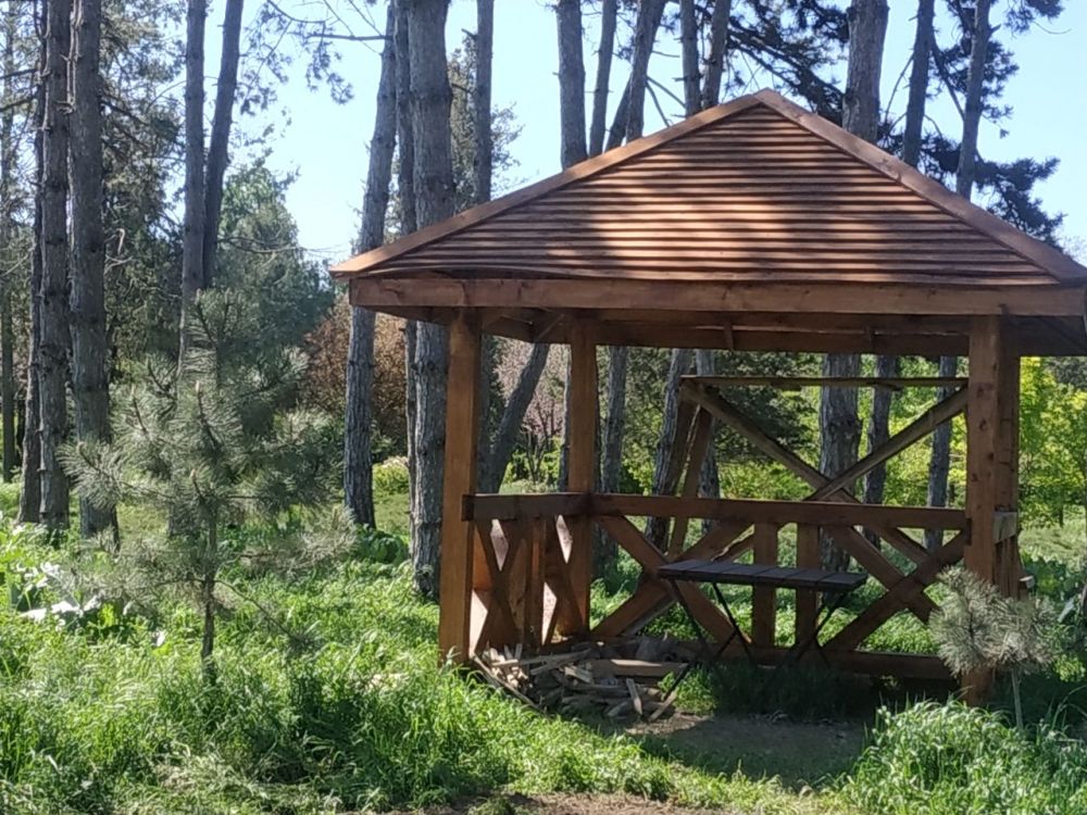 ��������������� ������� ������ �� 29 ��� � 4 ����