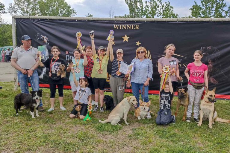 ������������ �������� - ����� ������