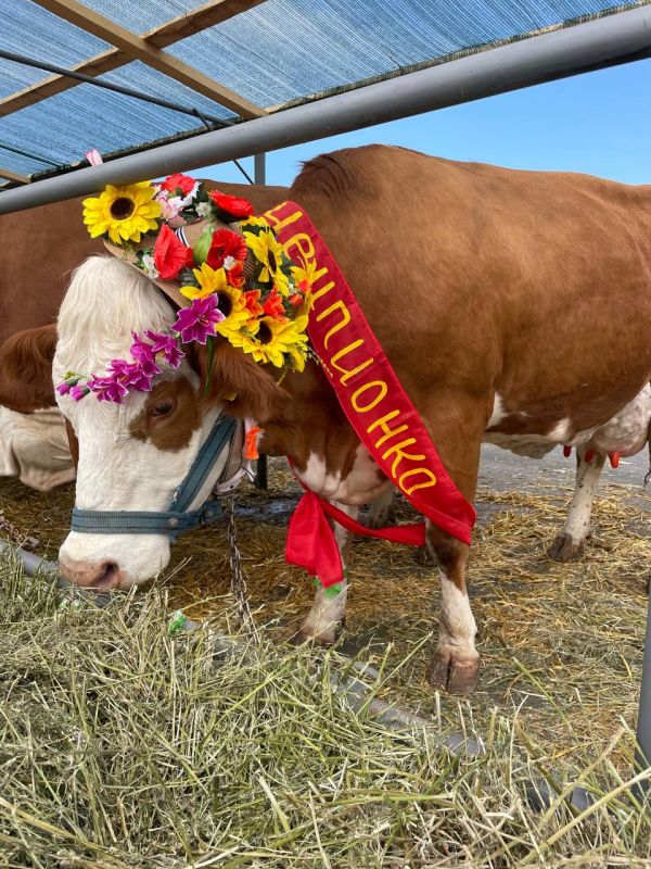 ���� ����-2023 ����� ������ �� ������ �����