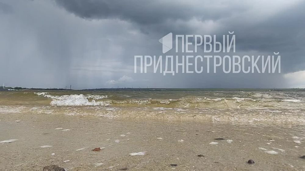 ����������. ����� (����� ����). ������ �������