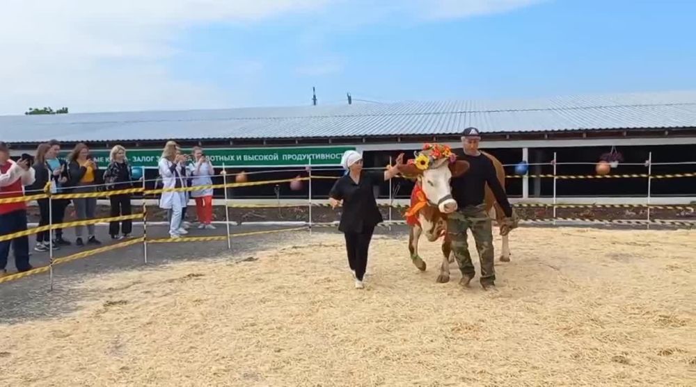 ������ ����� � � ����������� ������